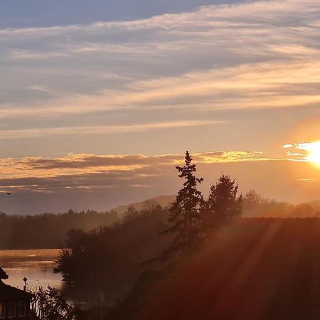 Ferienwohnung Rheinblick In Buesingen -Keine Monteure- Busingen Bagian luar foto
