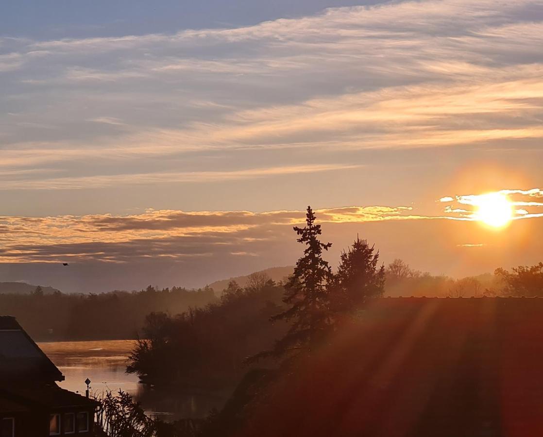 Ferienwohnung Rheinblick In Buesingen -Keine Monteure- Busingen Bagian luar foto