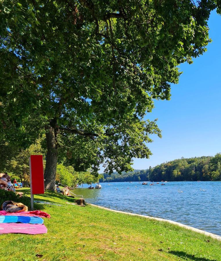 Ferienwohnung Rheinblick In Buesingen -Keine Monteure- Busingen Bagian luar foto