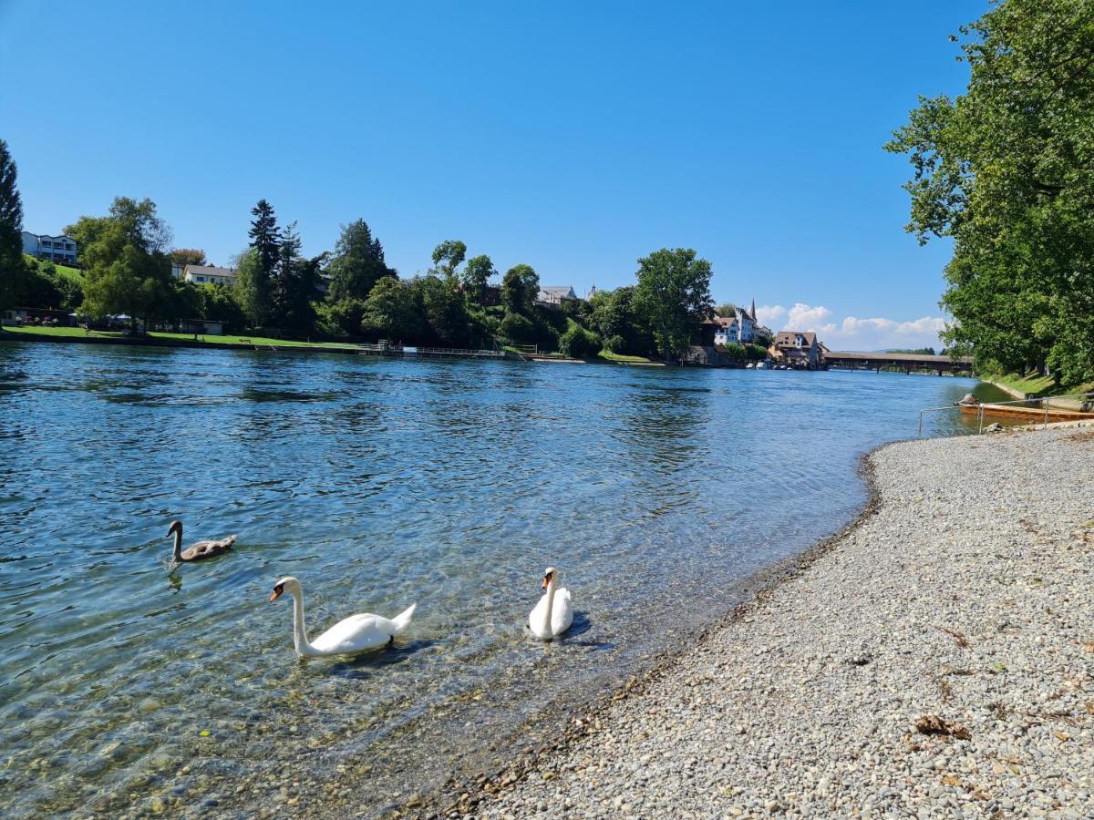 Ferienwohnung Rheinblick In Buesingen -Keine Monteure- Busingen Bagian luar foto