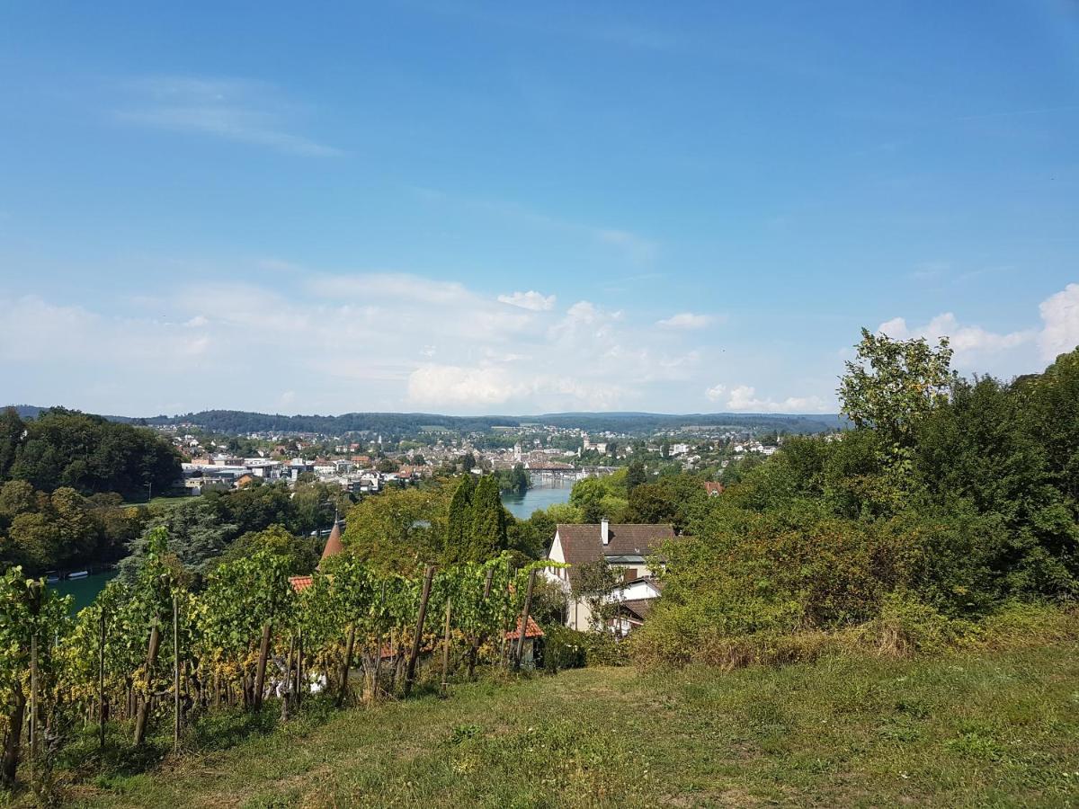 Ferienwohnung Rheinblick In Buesingen -Keine Monteure- Busingen Bagian luar foto