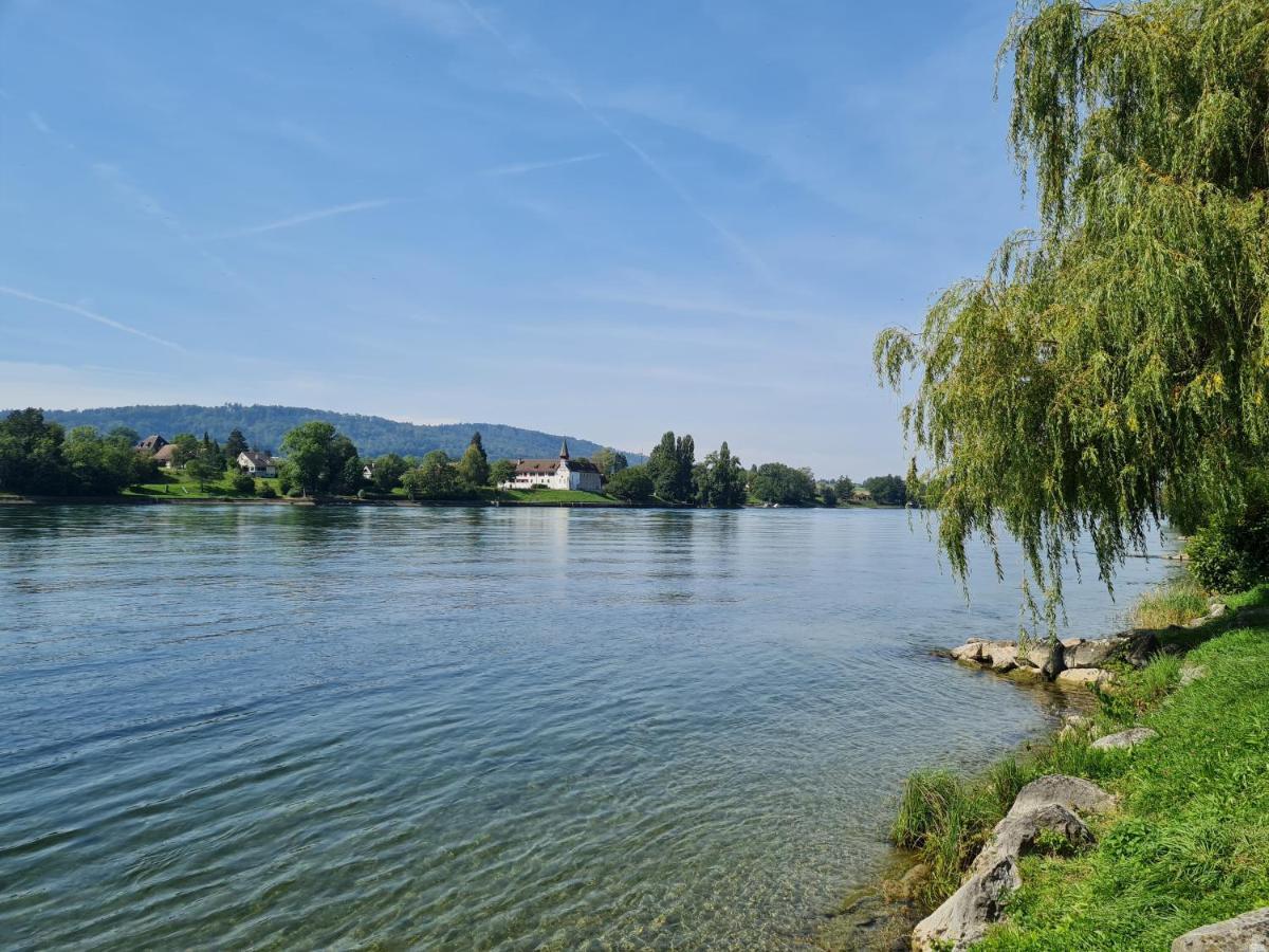 Ferienwohnung Rheinblick In Buesingen -Keine Monteure- Busingen Bagian luar foto