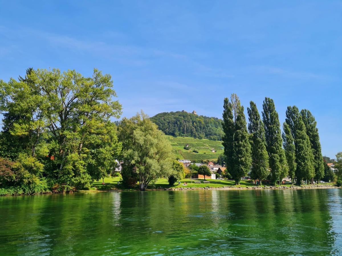 Ferienwohnung Rheinblick In Buesingen -Keine Monteure- Busingen Bagian luar foto