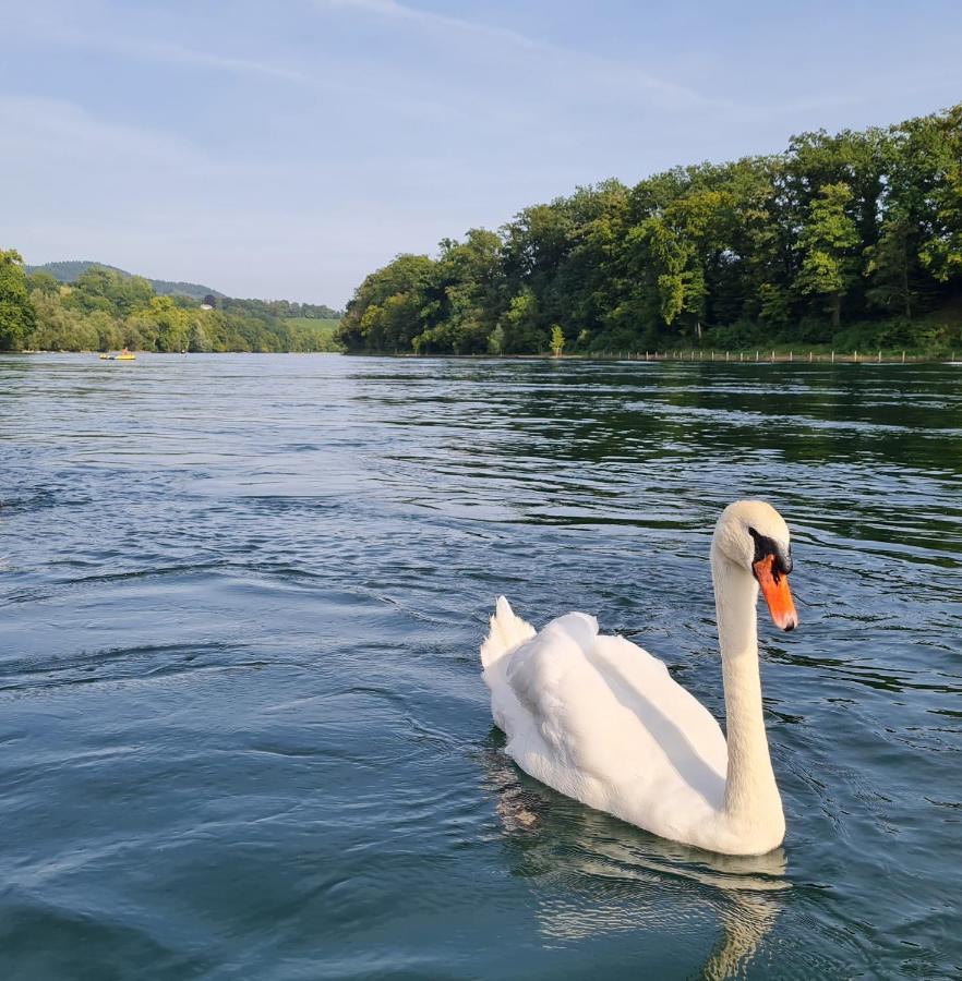 Ferienwohnung Rheinblick In Buesingen -Keine Monteure- Busingen Bagian luar foto