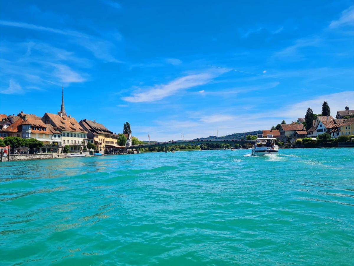 Ferienwohnung Rheinblick In Buesingen -Keine Monteure- Busingen Bagian luar foto