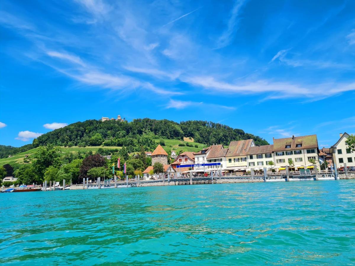 Ferienwohnung Rheinblick In Buesingen -Keine Monteure- Busingen Bagian luar foto