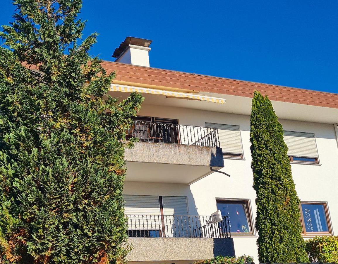Ferienwohnung Rheinblick In Buesingen -Keine Monteure- Busingen Bagian luar foto