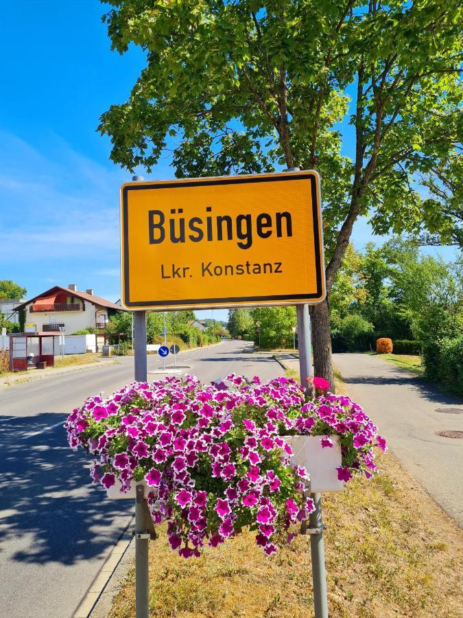 Ferienwohnung Rheinblick In Buesingen -Keine Monteure- Busingen Bagian luar foto
