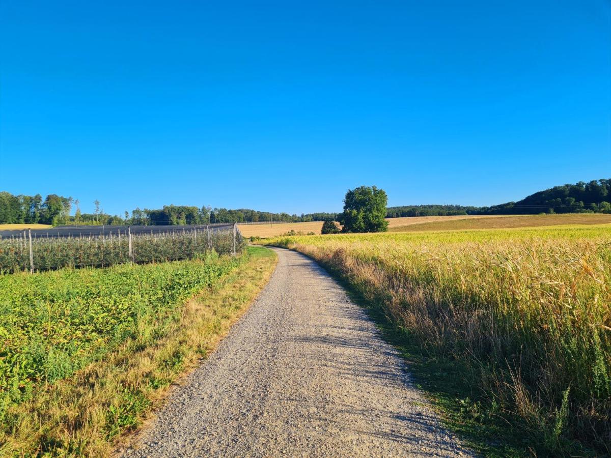 Ferienwohnung Rheinblick In Buesingen -Keine Monteure- Busingen Bagian luar foto